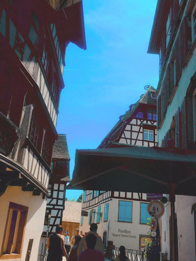 스트라스부르 La Terrasse Desaix 아파트 외부 사진